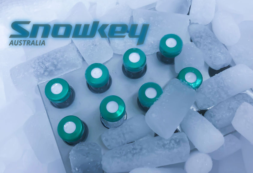 ice use for pharmaceutical industry brisbane