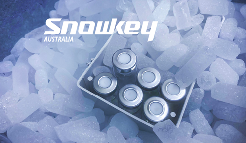 pharmaceutical industrial ice machines brisbane