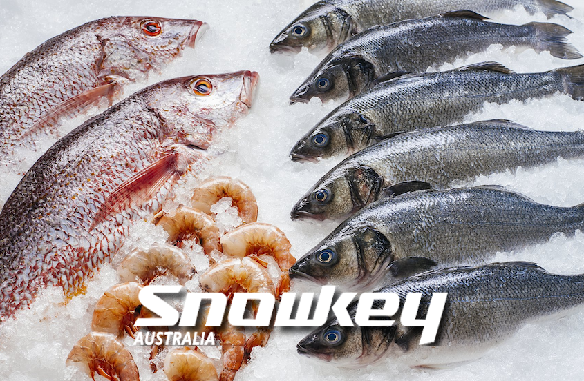 industrial flake ice seafood brisbane